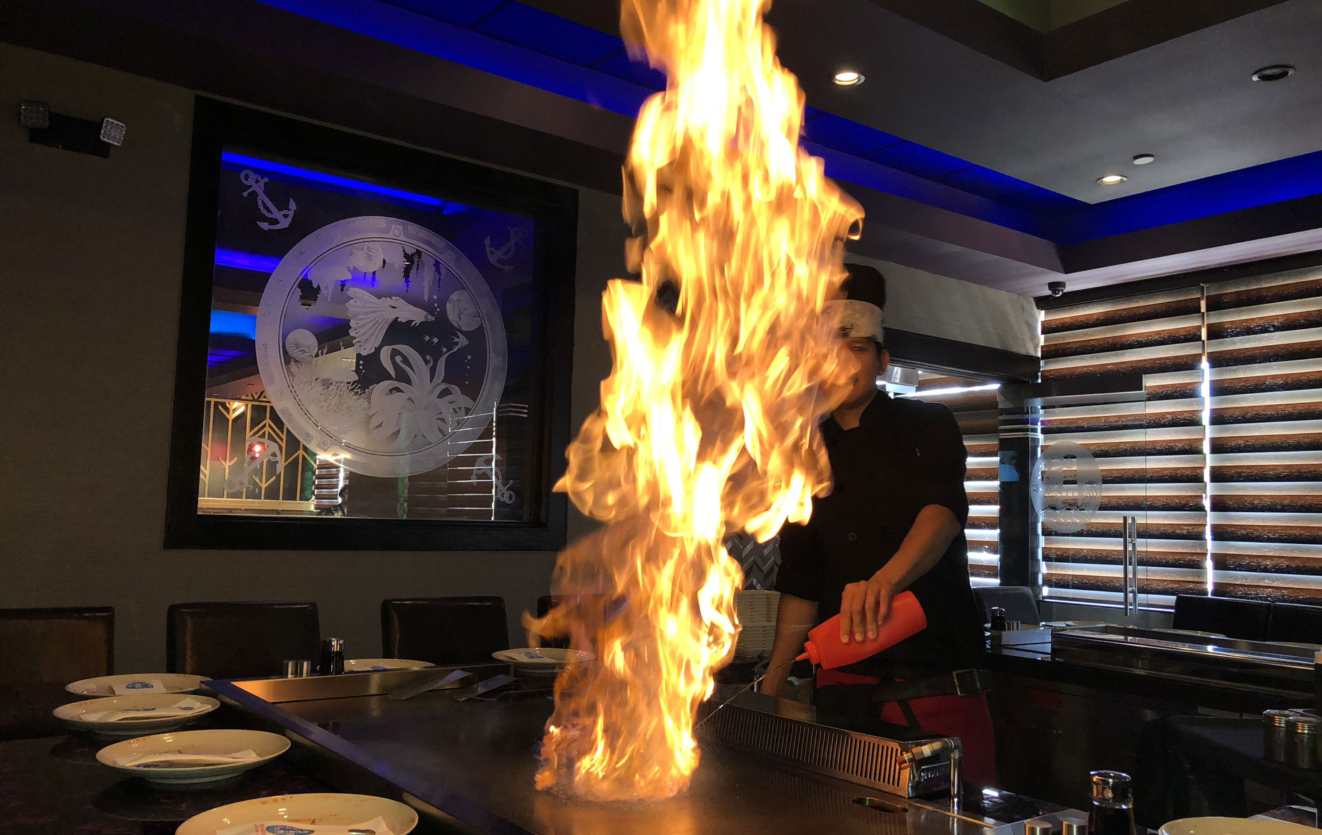 Tokyo Harbor, Sushi & Japanese Steakhouse - Forney TX